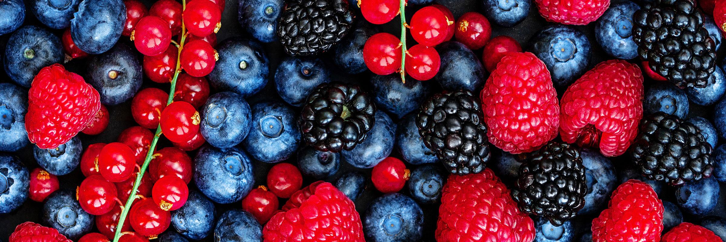 An array of fresh, beautiful, colorful blueberries, raspberries, blackberries, and currents